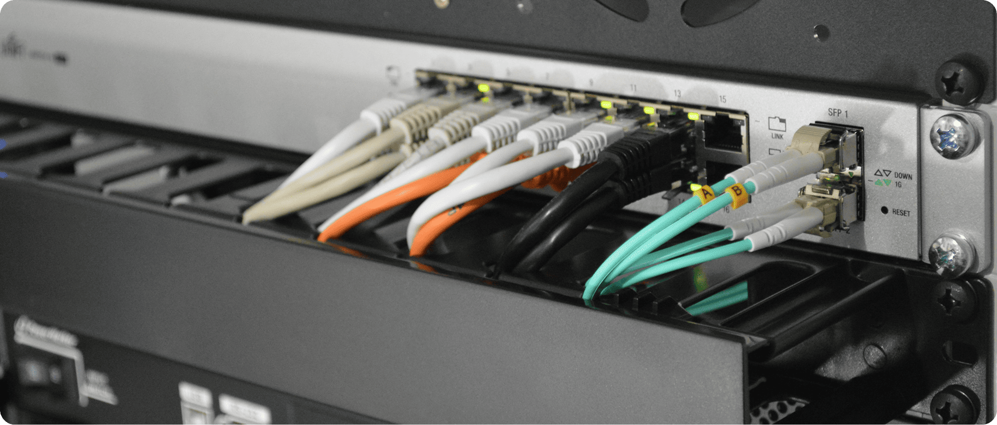 System Monitorowania i&nbsp;Zarządzania Siecią dla Orange Polska S.A. i&nbsp;Służby Więziennej w&nbsp;50 Jednostkach penitencjarnych